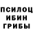 Галлюциногенные грибы Psilocybe ivan denikin