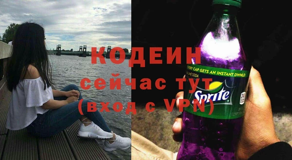 apvp Семилуки