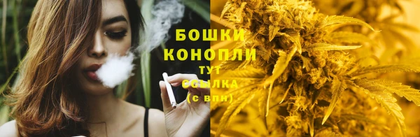 тгк Горняк