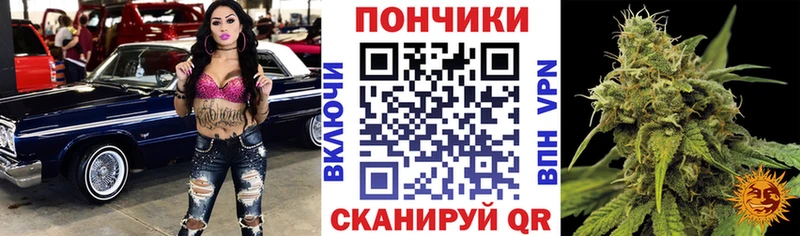 Бошки Шишки MAZAR  Подпорожье 